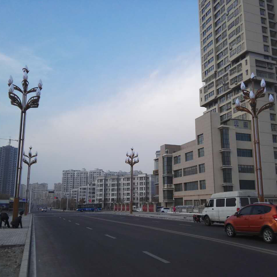 阿克苏玉兰景观道路灯白天